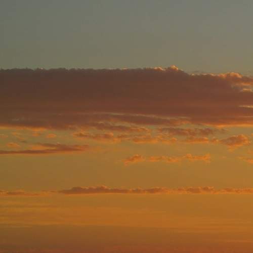 Photo #6163230
