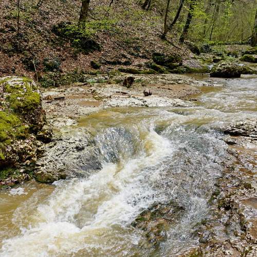 Photo #6163409