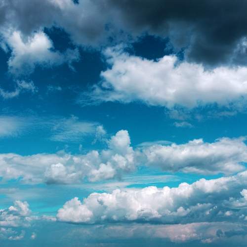 Photo #6163697
