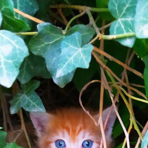 Photo #6163746