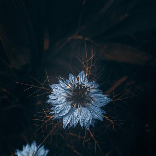 Photo #6163819