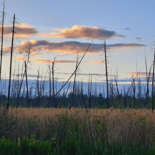 Photo #6163846