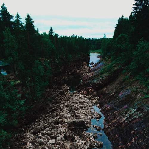 Photo #6163984