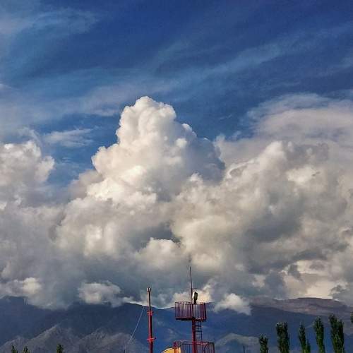 Photo #6164298