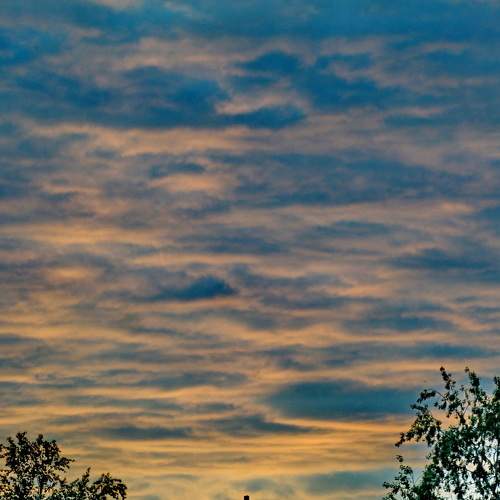 Photo #6164376