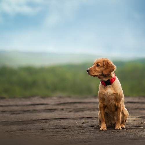 Photo #6164628