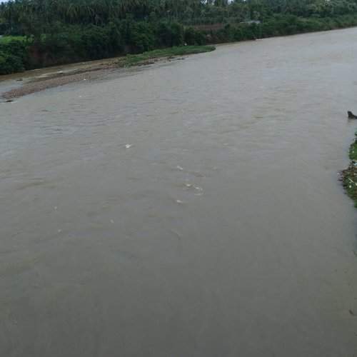 Photo #6164851