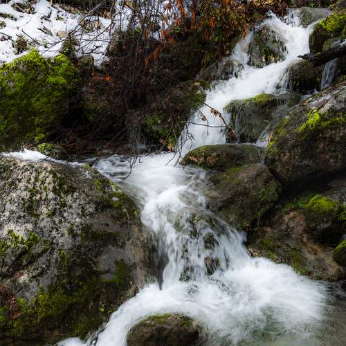 Photo #6164937