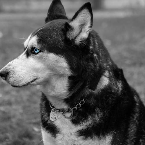 Photo #6164963