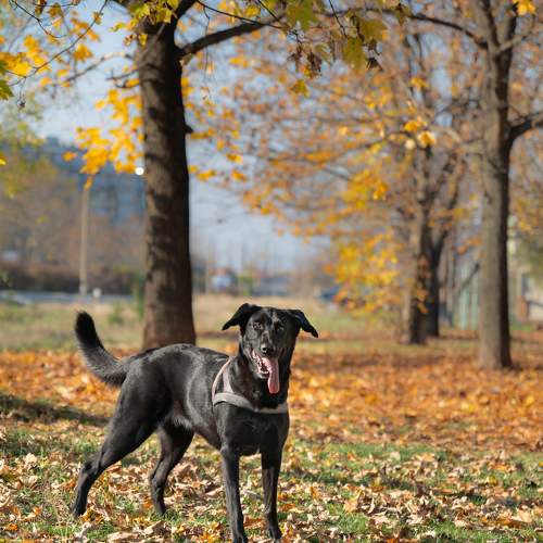 Photo #6164964