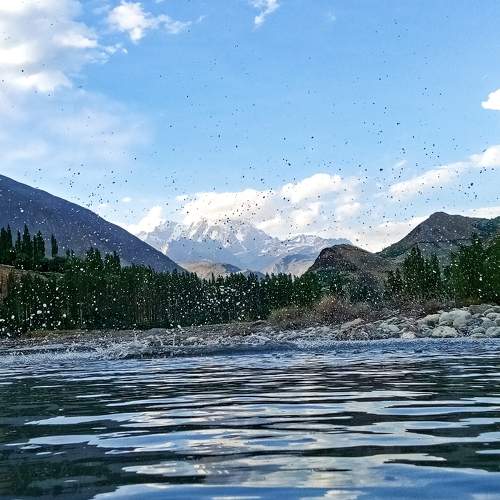Photo #6165305