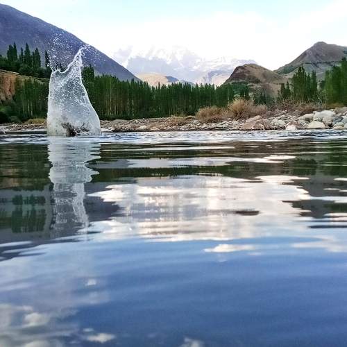 Photo #6165307