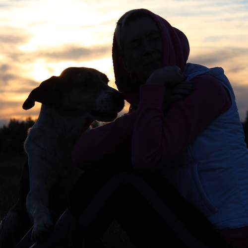 Photo #6165628