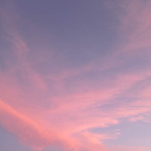 Photo #6166079