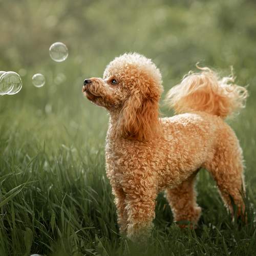 Photo #6166670
