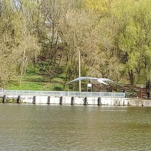 Photo #6166804