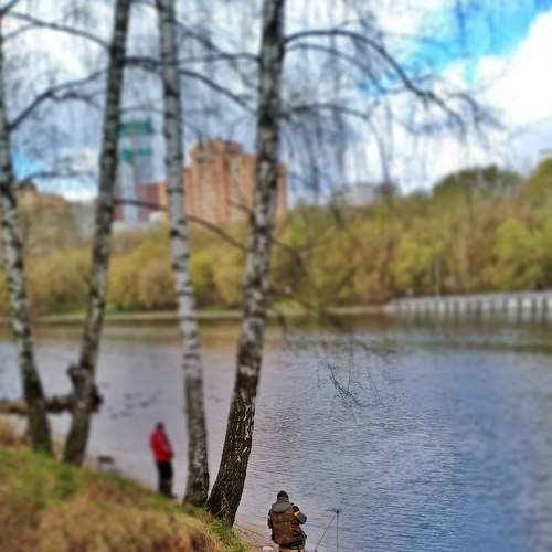 Photo #6166807