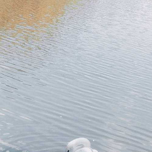 Photo #6166915