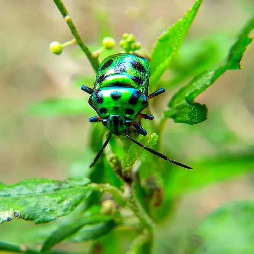 Photo #6167200