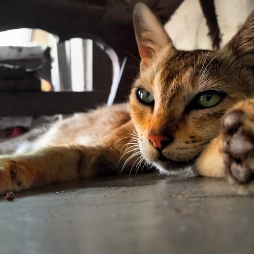 Photo #6167375