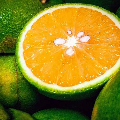 Oranges