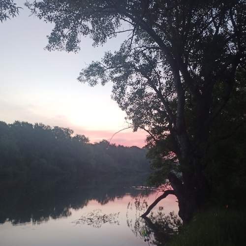 Photo #6167641