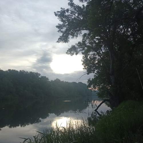 Photo #6167643