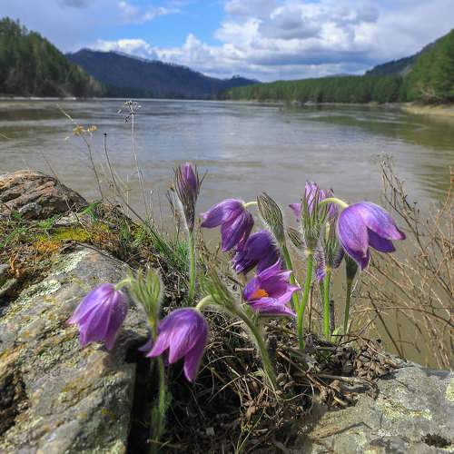 Photo #6168337
