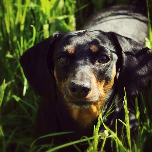 Photo #6168353