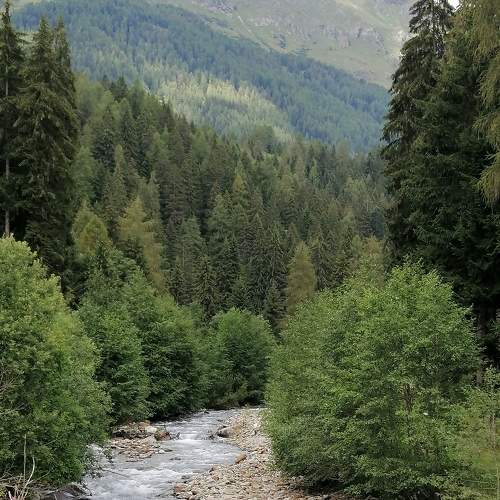 Photo #6168431