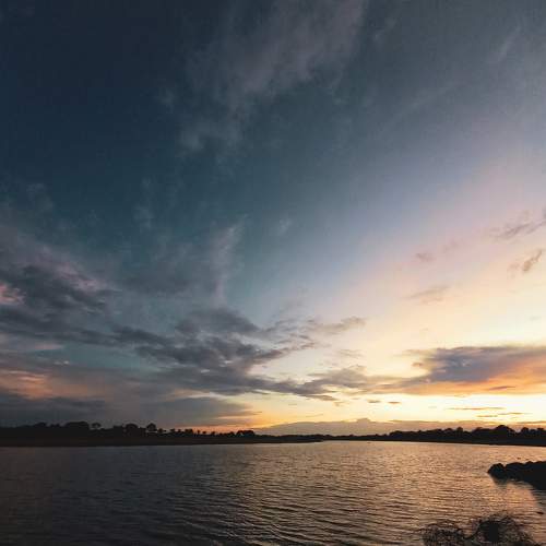 Photo #6168504