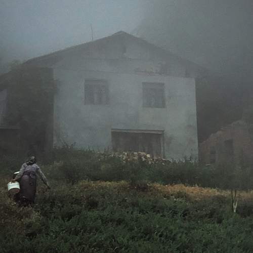 The old woman and the fog