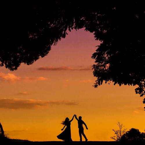 Photo #6168699