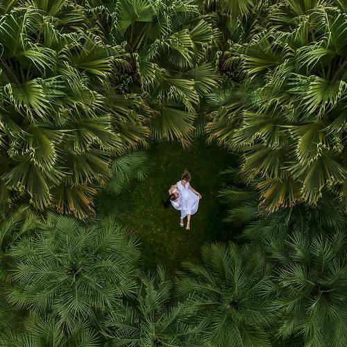 Photo #6168700