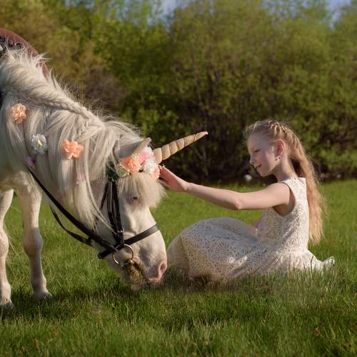 Photo #6170419