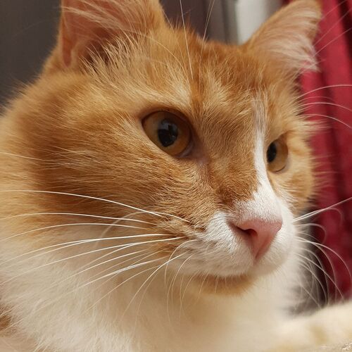 Photo #6170557