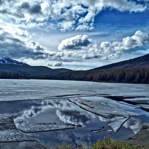 Photo #6170814