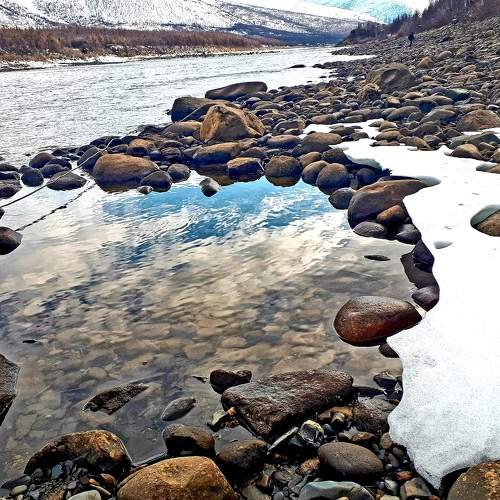 Photo #6170825