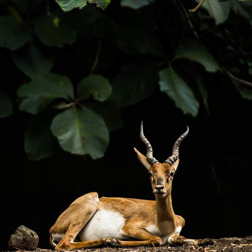 Photo #6171367