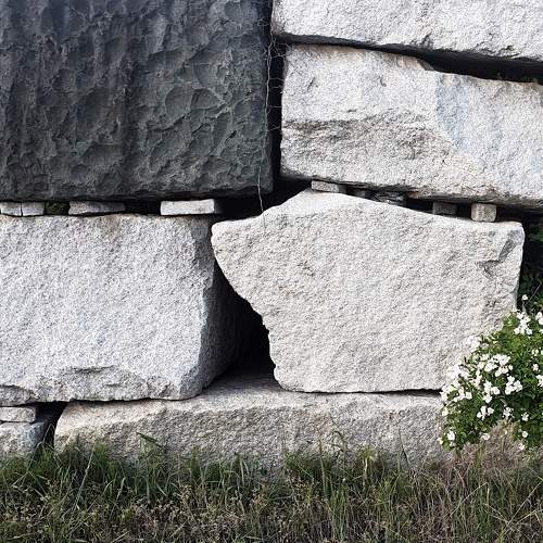 Photo #6171373