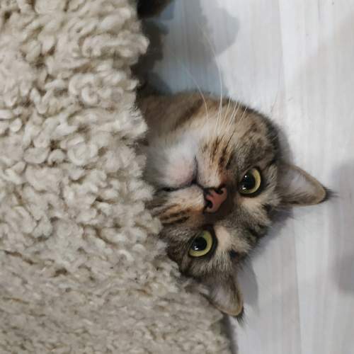 Photo #6171377