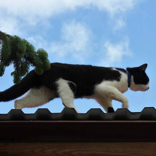 Photo #6171433