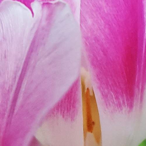 Photo #6171594