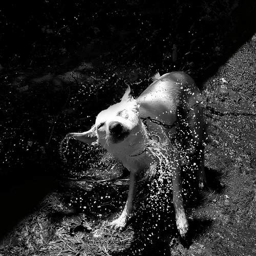 Photo #6171938