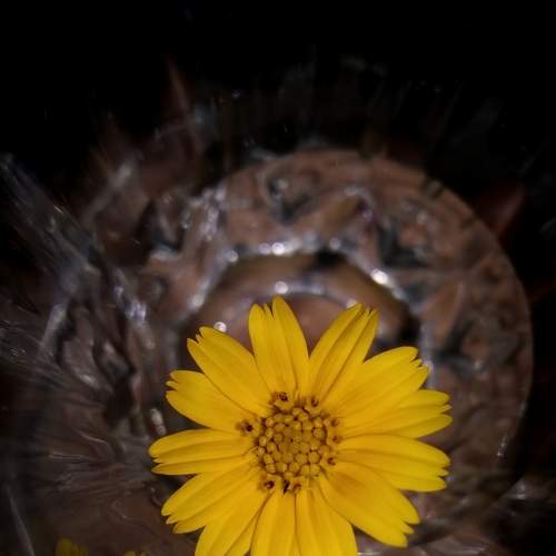 Photo #6172098