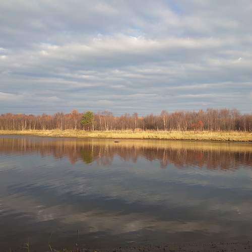 Photo #6172217