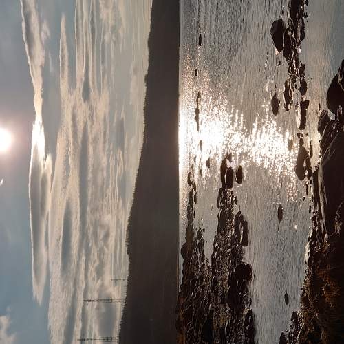 Photo #6172221