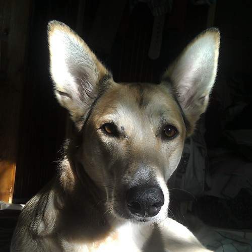 Photo #6172305