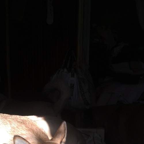 Photo #6172317
