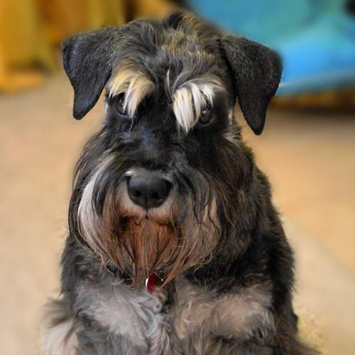 Photo #6172432